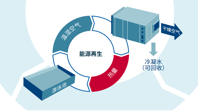 室內(nèi)恒溫泳池,室內(nèi)泳池設(shè)備,室內(nèi)泳池除濕